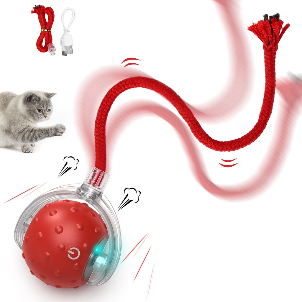 Interactive Cat & Dog Teaser Toy with Extra Tails & Rolling Ball