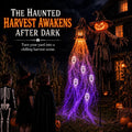 🔥 Today Only: 49% OFF 🎁Animated Halloween Soul Harvester Garden Light Collection💀