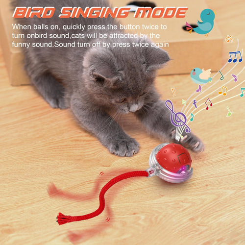 Interactive Cat & Dog Teaser Toy with Extra Tails & Rolling Ball