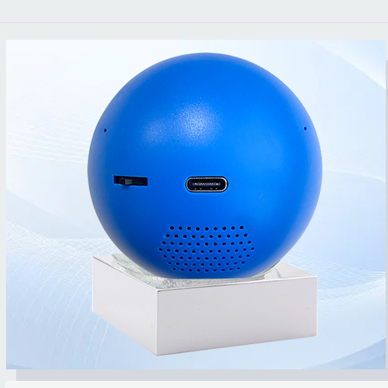 ✨Offre à durée limitée⏳ - Boule vidéo, pour conserver vos moments précieux